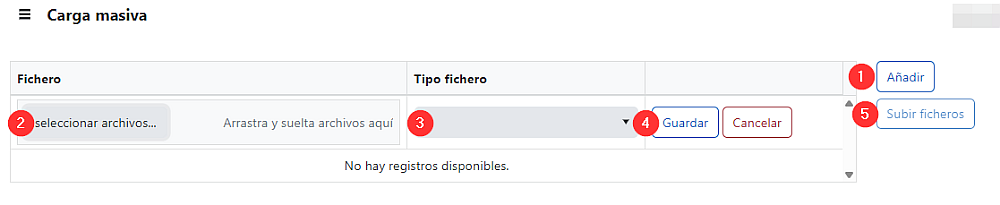 Enviar ficheros carga Massiva